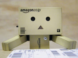 Danbo out of the box