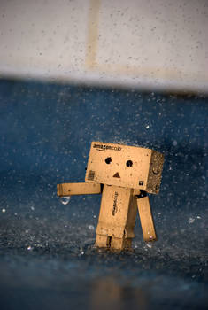 Danbo Gets Wet