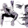 Peter Parker:Spider-Man