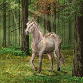 Horse in a Forest