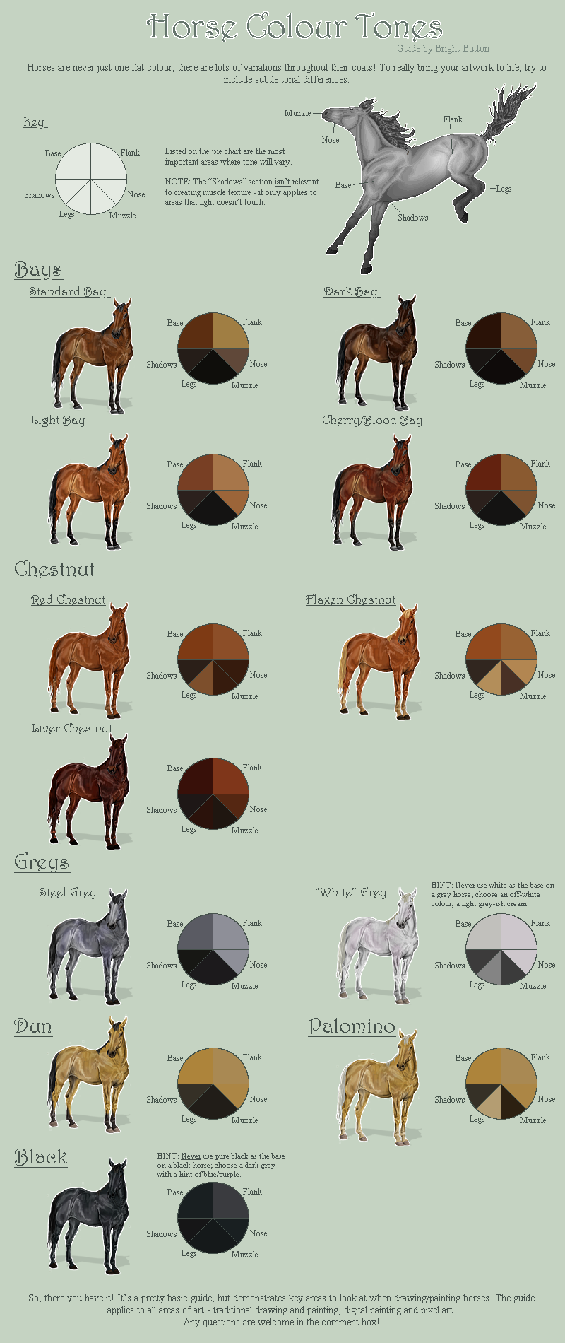 Horse Colour Tones Guide