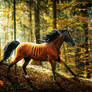 All Hallow's Steed