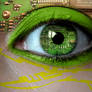 Electronic Eye