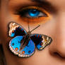 Butterfly Eye