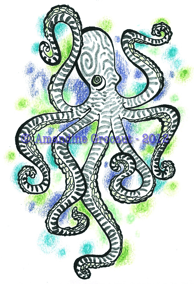 Striped octopus