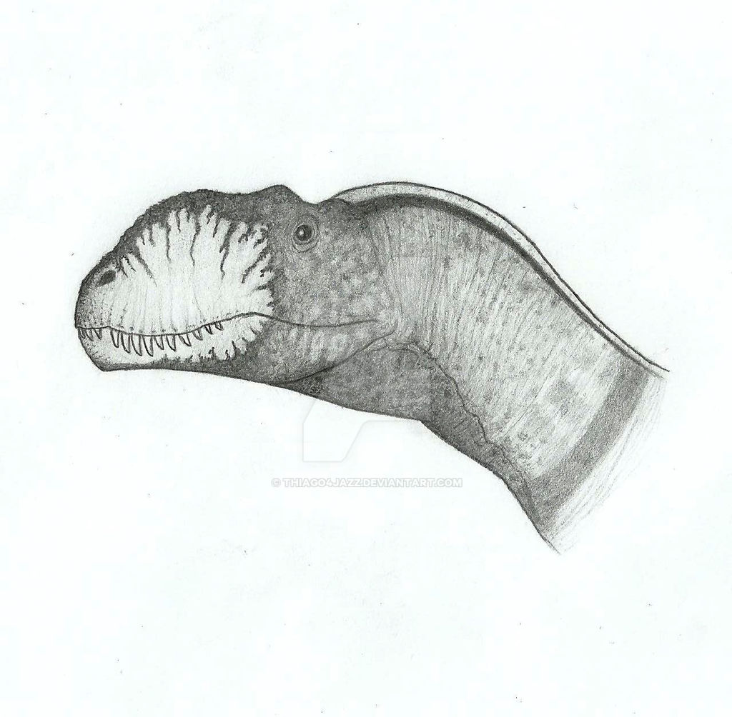 Metrisaurus Drawing Metriacanthosaurus parkeri by Thiago4Jazz on DeviantArt