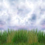 Grass_Sky Seamless Horizontal