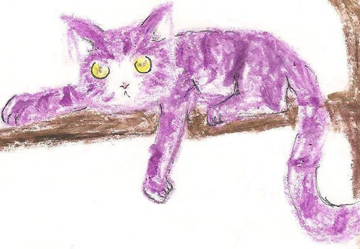 Purple Cat