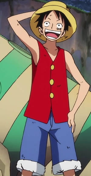Luffy Reference One Piece: Luffy by sxymegger on DeviantArt