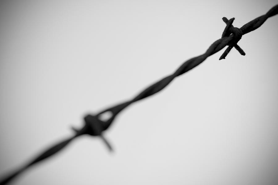 Barbed Wire