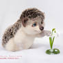 SALE - Needle felted Hedgehog