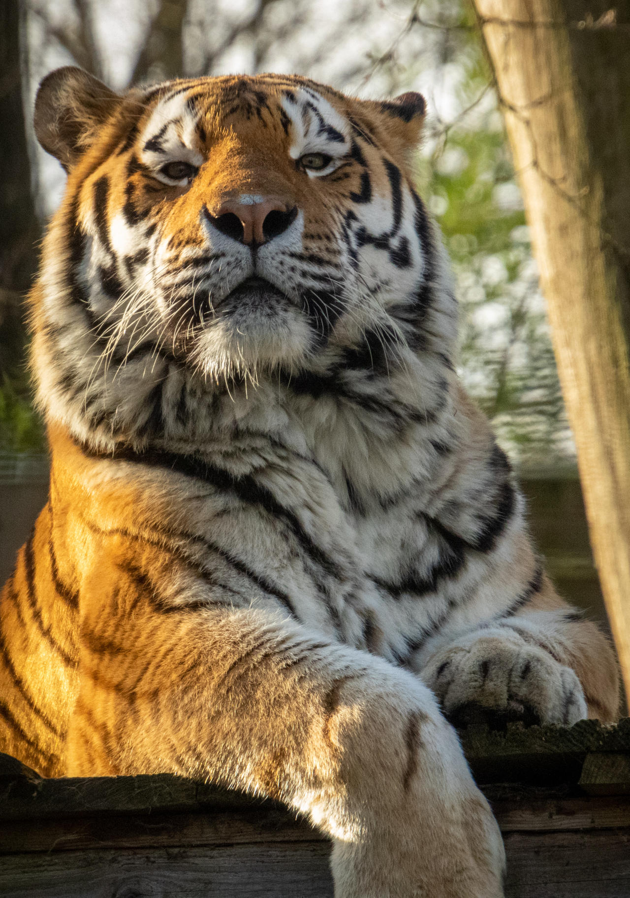 Signature look of superiority by DucoNdona on DeviantArt