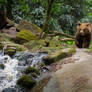 A stroll around the creek