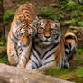 Mother and daughter