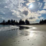 January Beach 