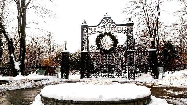 Public Gardens Snow