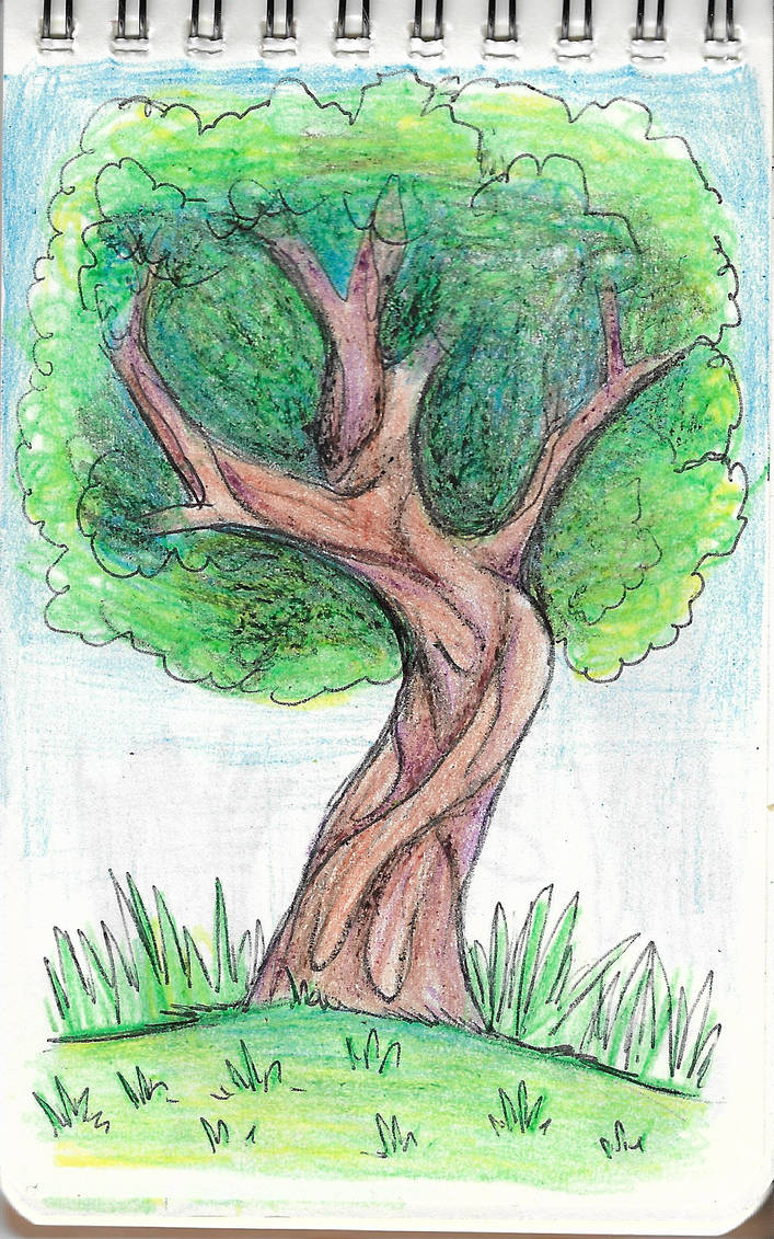 Beautiful Crayola Tree View in HD Beautiful Crayola Tree View in HD