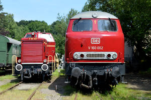 V65 001 and V160 002