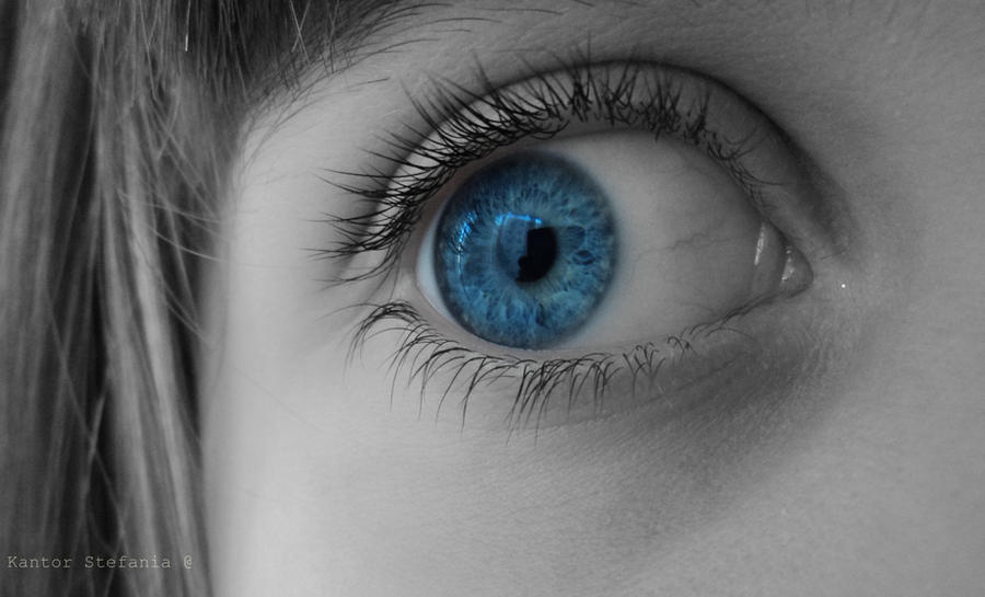 Lovely Blue Eye