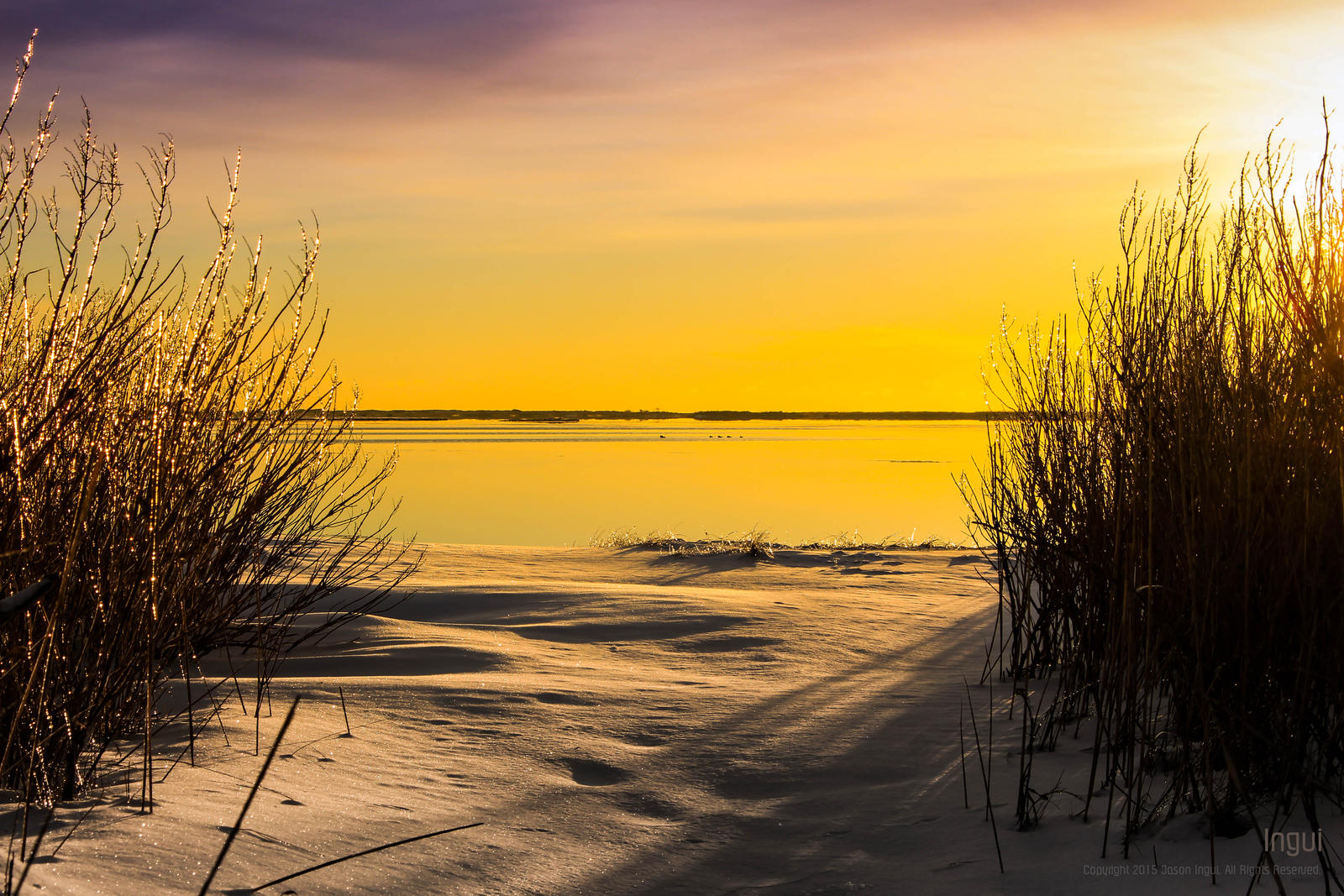 Icy Sunrise