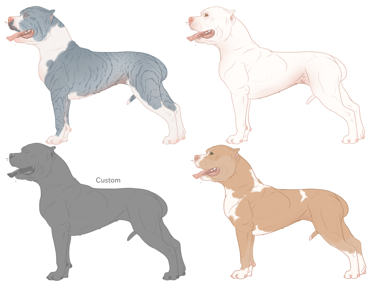 Designer Bully Bully Breed Design Sales | 3/4 Open by CalifCanines on DeviantArt
