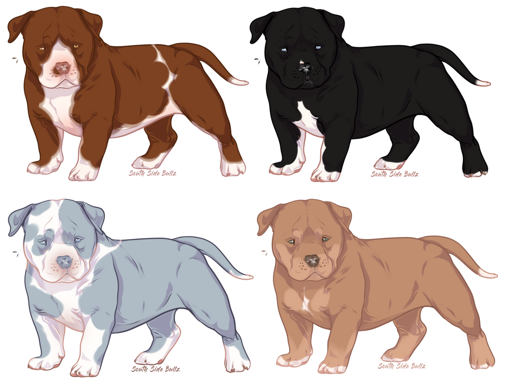 Designer Bully Bully Puppy Design Sales | 4/4 Open by CalifCanines on DeviantArt