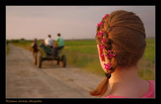 Romania - Rural story