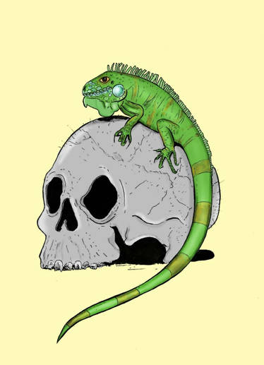 Iguana