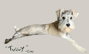 Tully