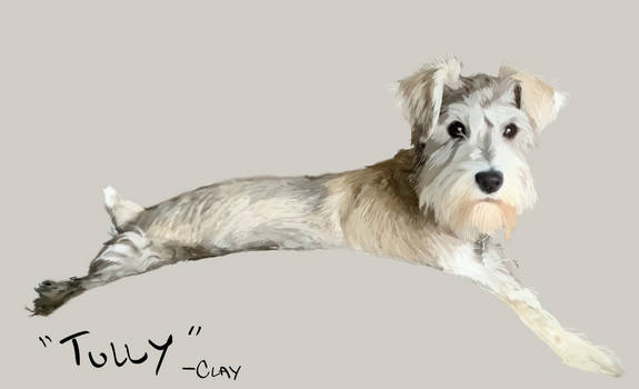 Tully