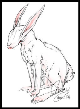 Crooked rabbit.