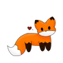 random fox