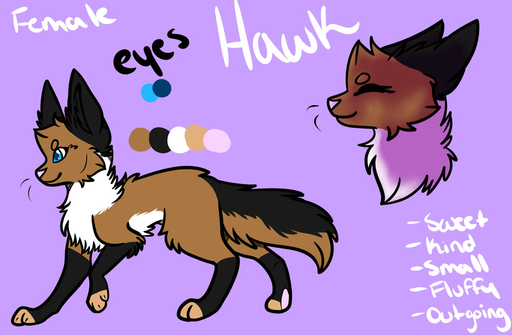 Hawk Ref Base Hawk Ref by OakTheFluffy on DeviantArt