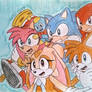 Sonic 29th Birthday