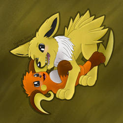 Jolteon and Raichu