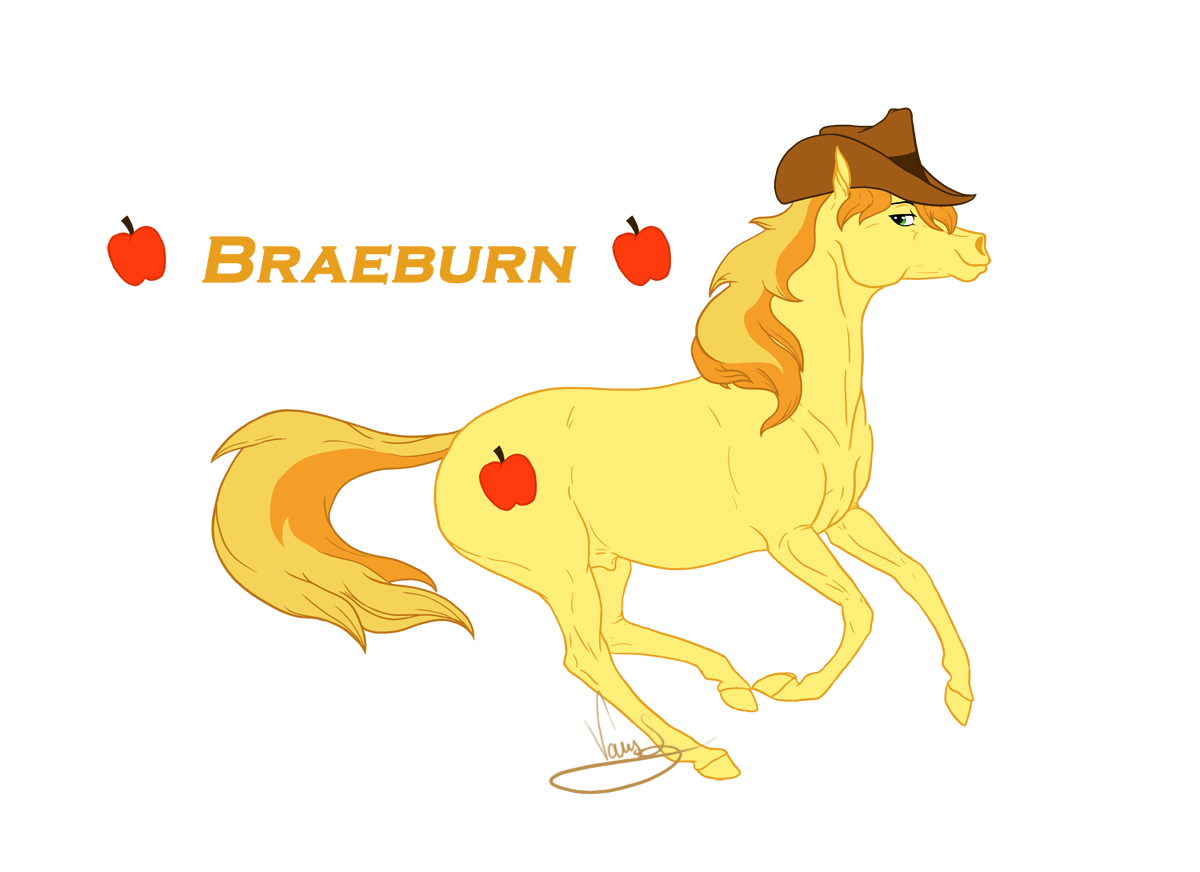 Realistic Braeburn