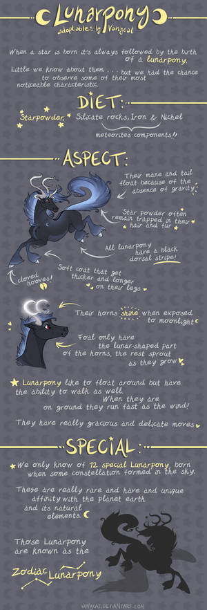 Lunarpony Reference Sheet