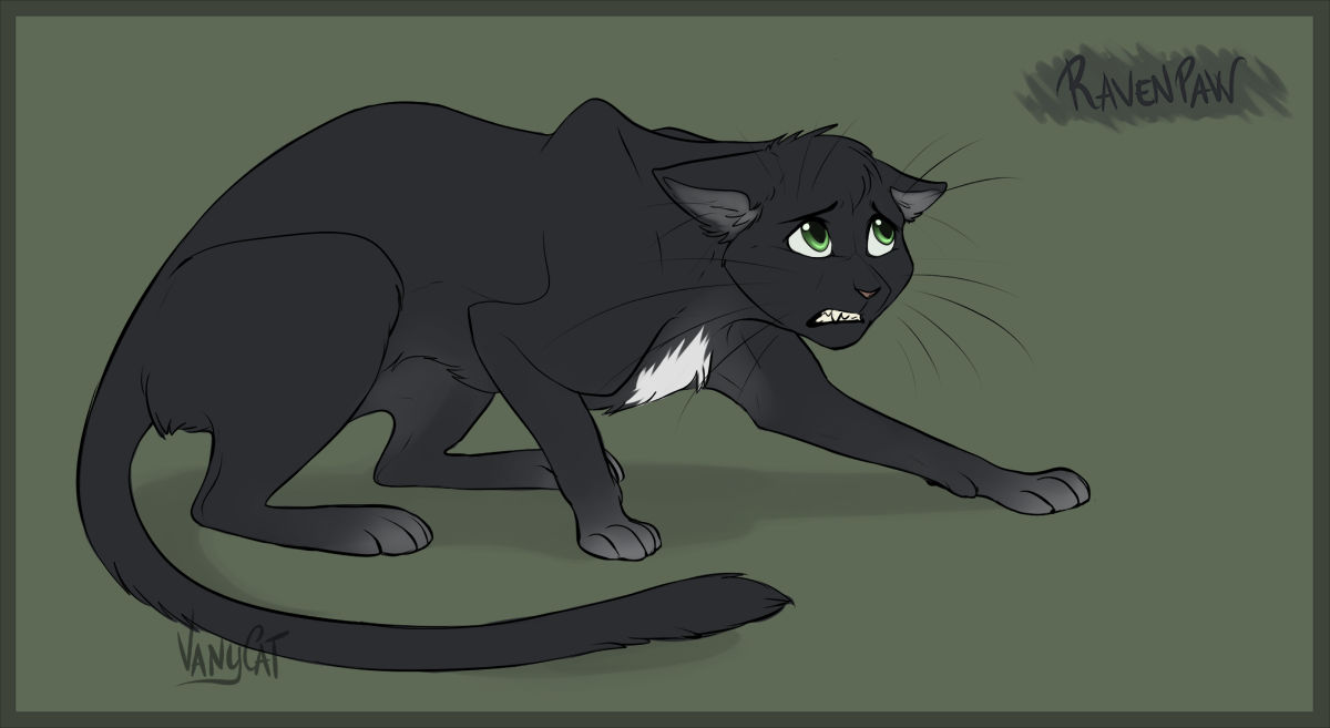 Wa Rav Cat Warrior Cats - RavenPaw by VanyCat on DeviantArt