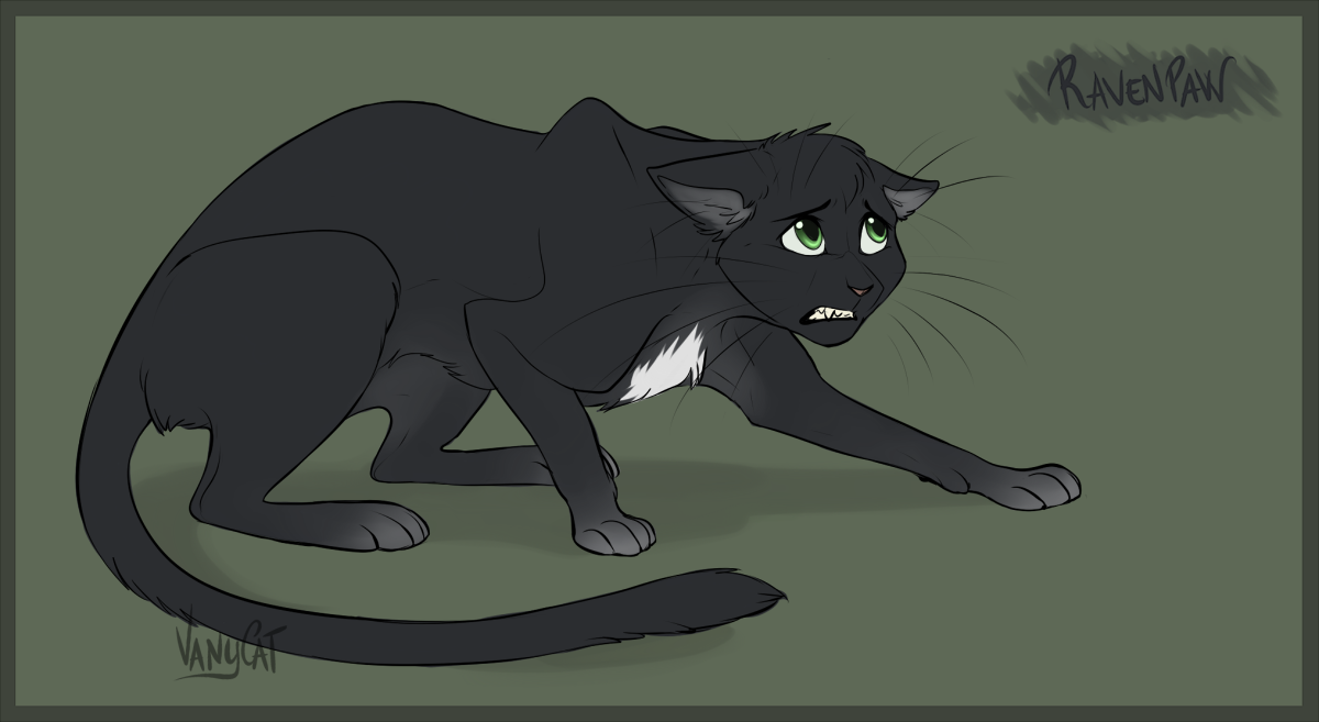 Warrior Cats RavenPaw By VanyCat On DeviantArt warrior-cats-ravenpaw-by-vanycat-on-deviantart