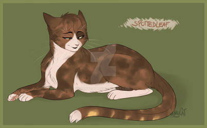 Warrior Cats - Spottedleaf