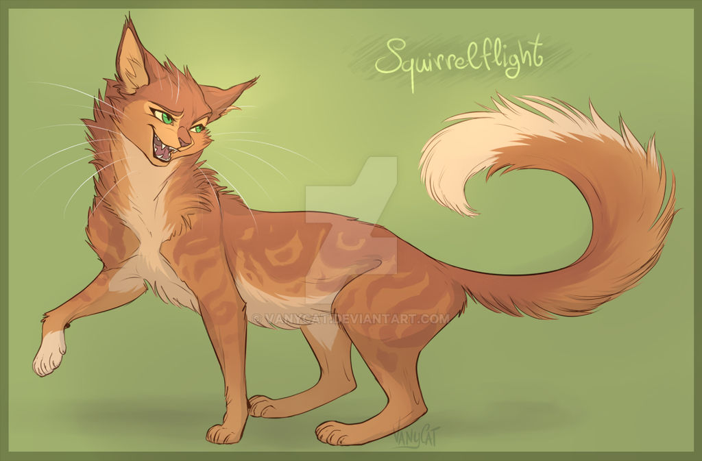 Warrior Cats Squirrelflight By Vanycat On Deviantart Warrior Cats Squirrelflight By Vanycat On Deviantart