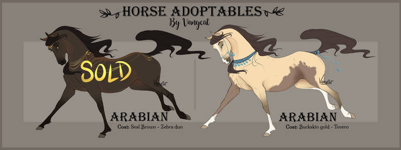 Adopt Arabian horses - Auction [closed]