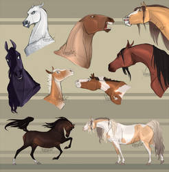 Horses my beloved