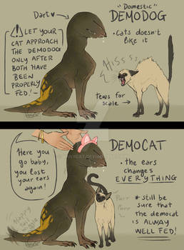 Demodog or Democat - Stranger Things