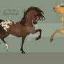 Stranger Horses