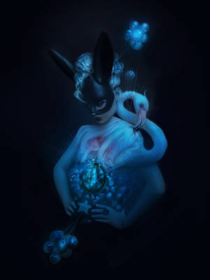 Oracle by stellartcorsica Oracle by stellartcorsica