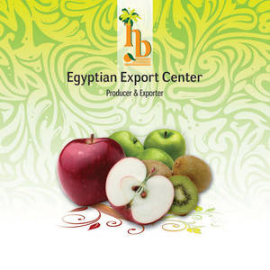 export import company flyer