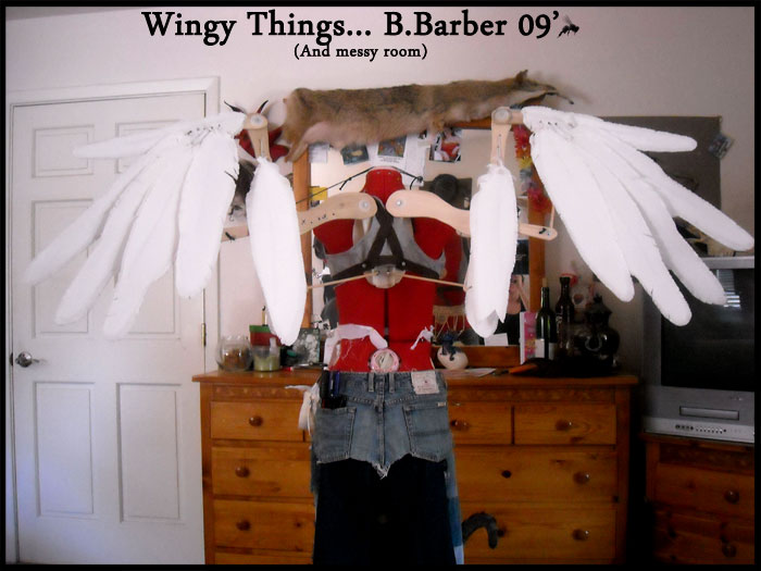 Wingy things