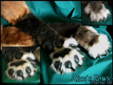 Alices Feral Paws