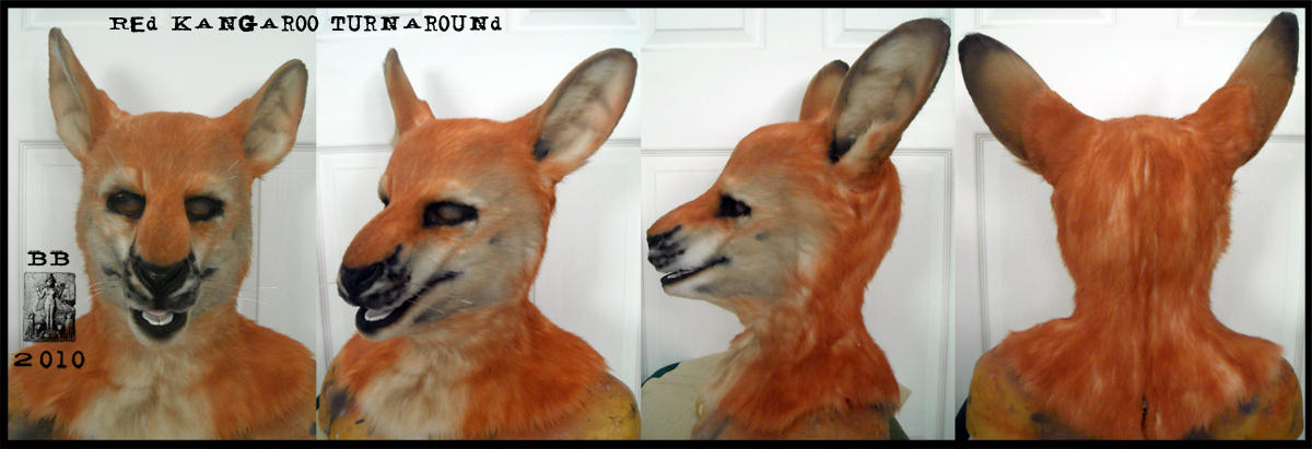 Red Roo Head Turnaround by Magpieb0nes on DeviantArt